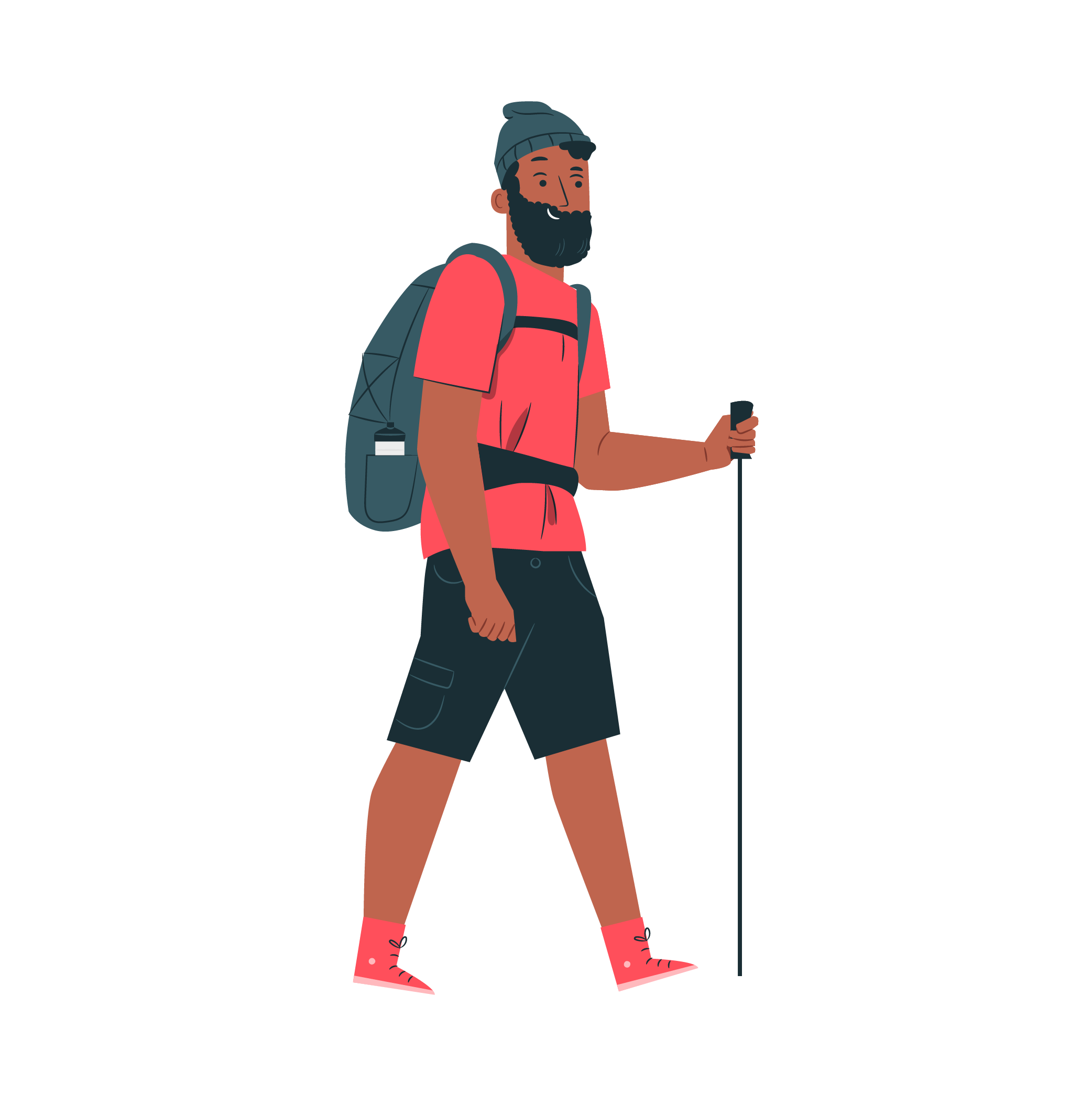 Male Hiker w Walking Stick